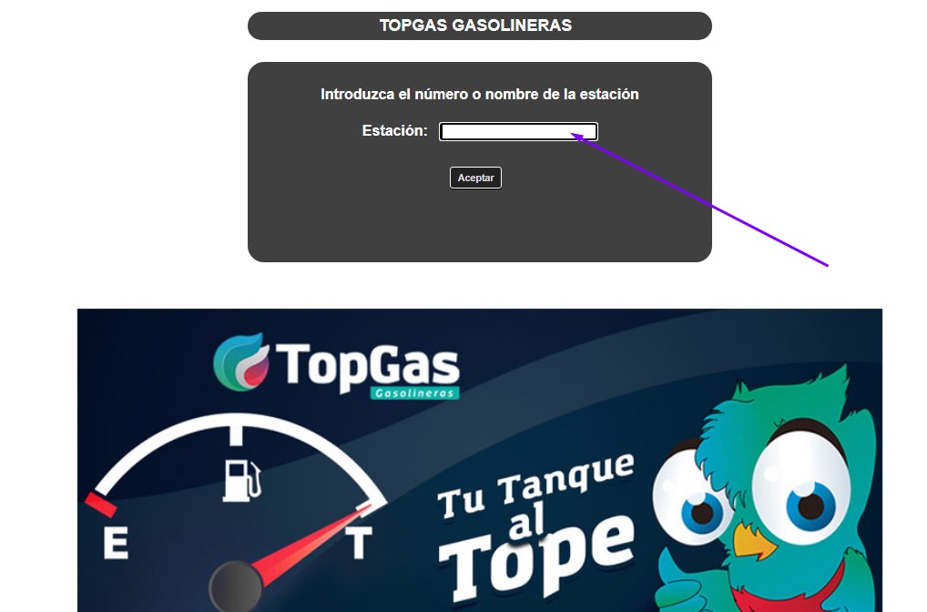 Registro en TopGas para facturar